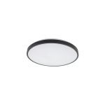 AGNES LED PRO plafonjerka