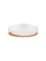 STAKE plafonjerka - Image 2