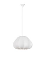 BORA Luster - Image 5